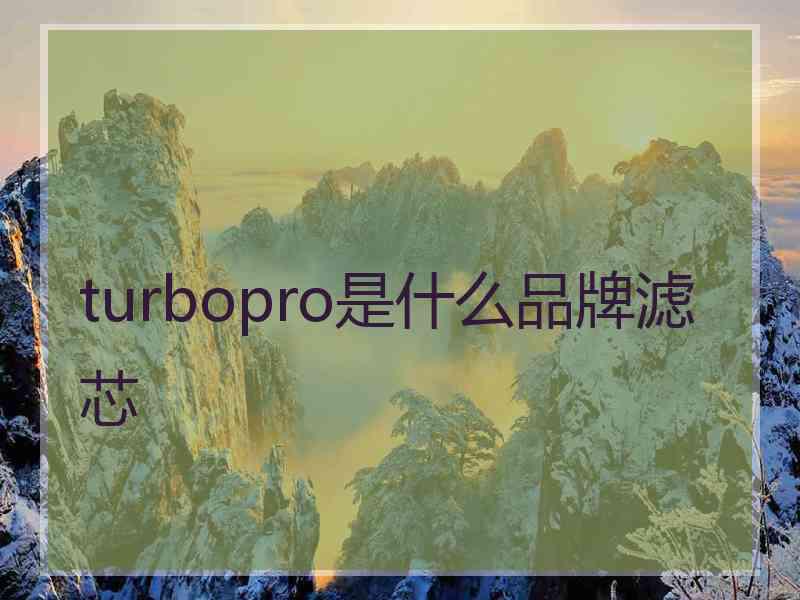 turbopro是什么品牌滤芯