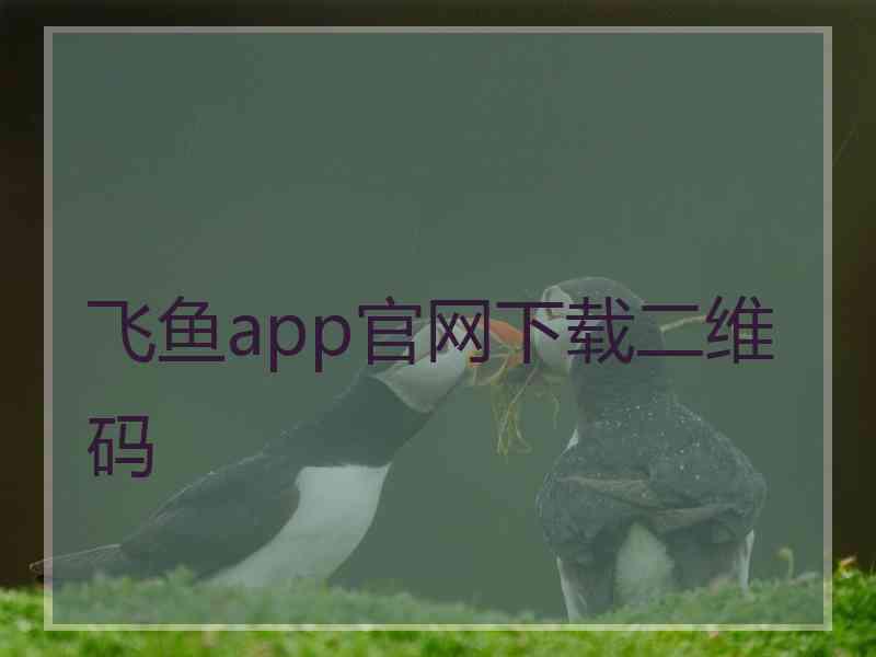 飞鱼app官网下载二维码