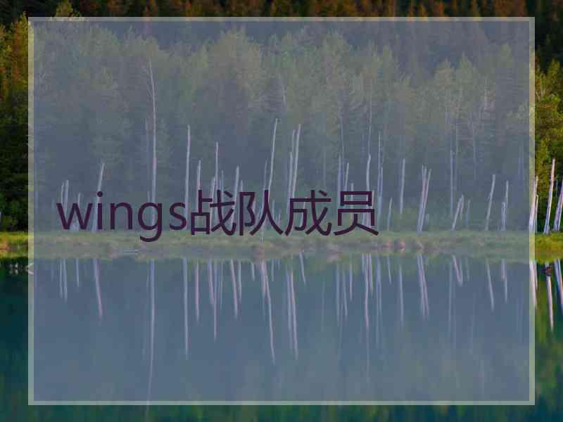 wings战队成员