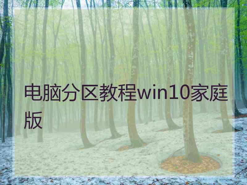 电脑分区教程win10家庭版