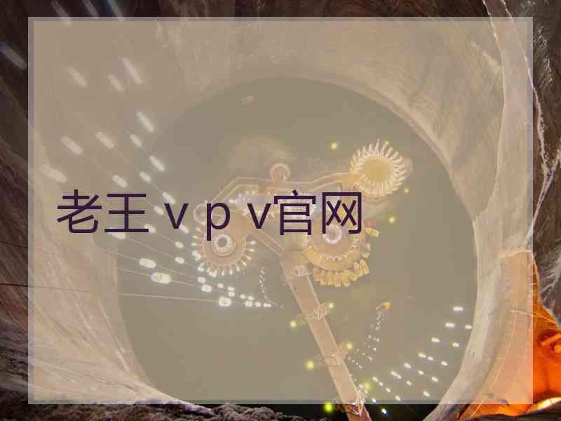 老王 v p v官网