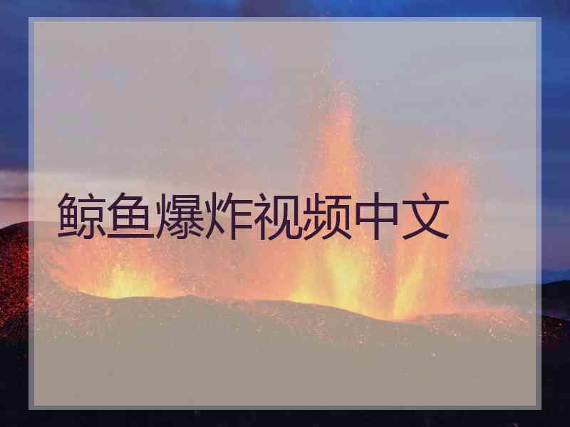 鲸鱼爆炸视频中文