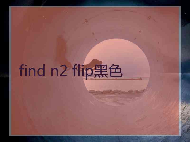 find n2 flip黑色