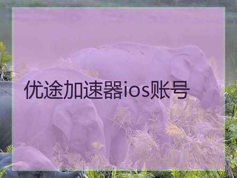 优途加速器ios账号