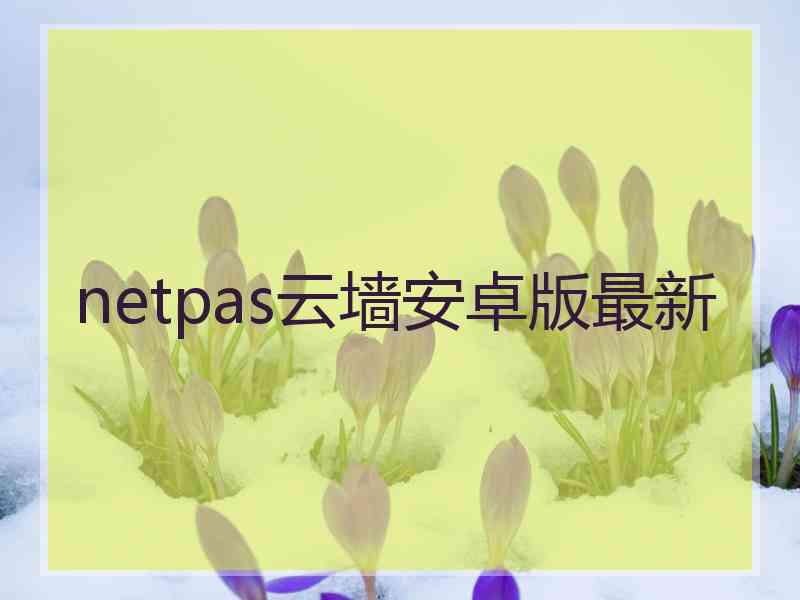 netpas云墙安卓版最新