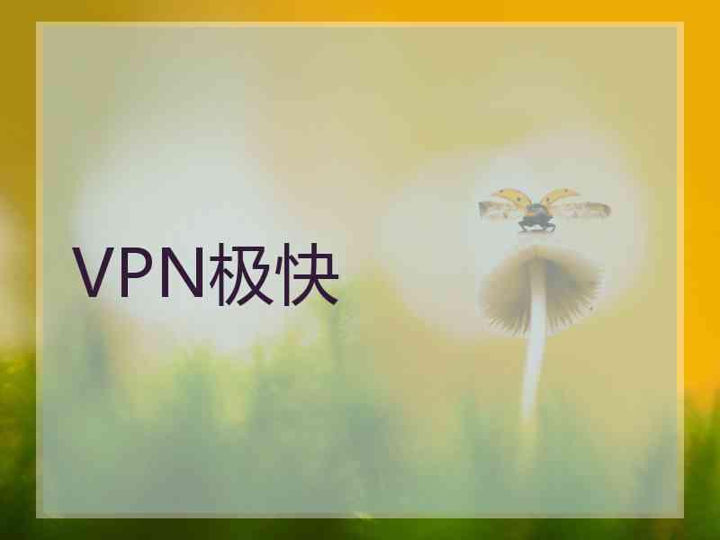 VPN极快