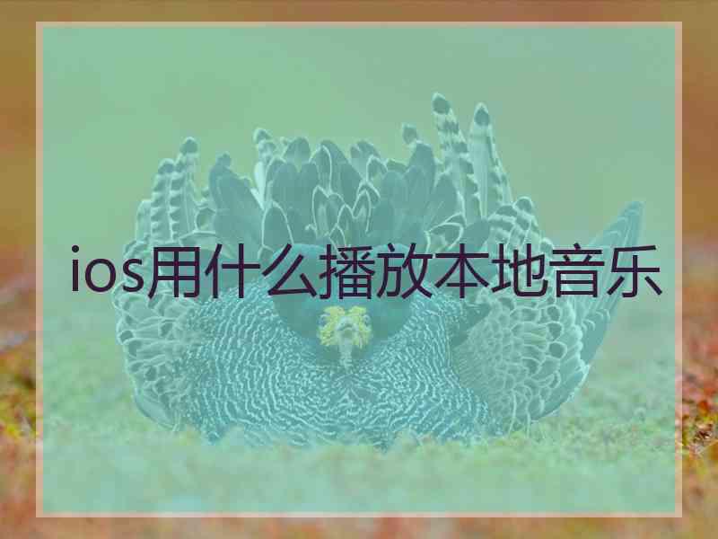 ios用什么播放本地音乐