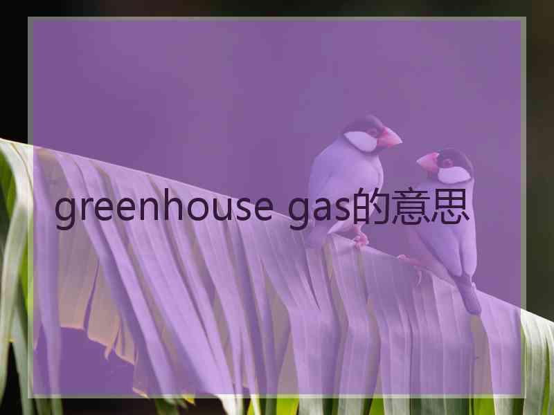 greenhouse gas的意思