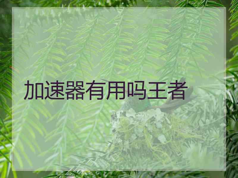 加速器有用吗王者