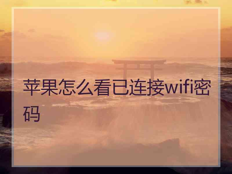 苹果怎么看已连接wifi密码