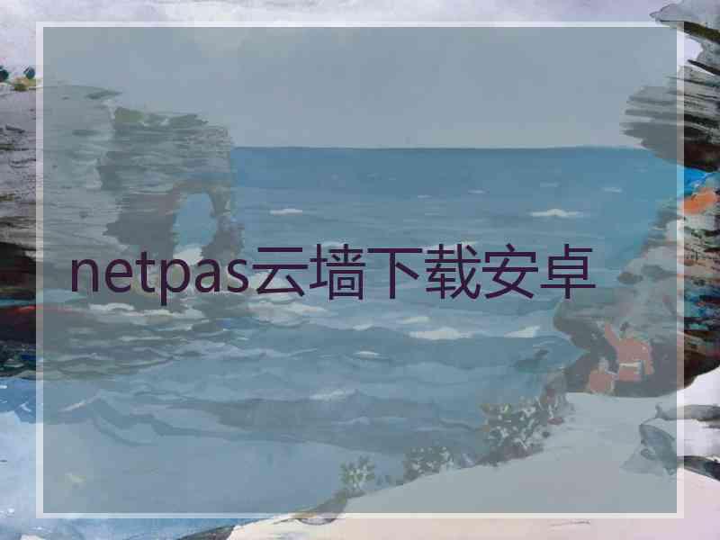 netpas云墙下载安卓