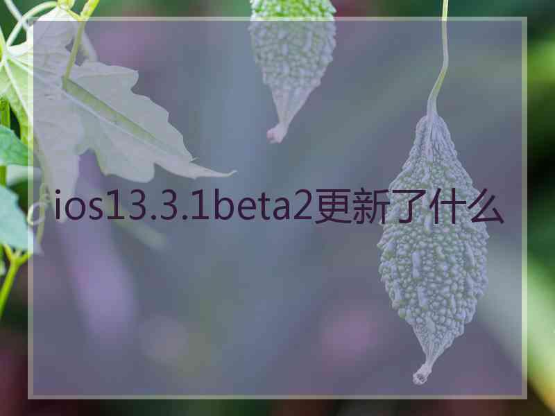 ios13.3.1beta2更新了什么