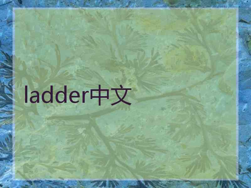 ladder中文