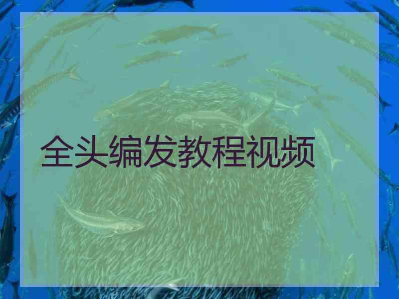 全头编发教程视频