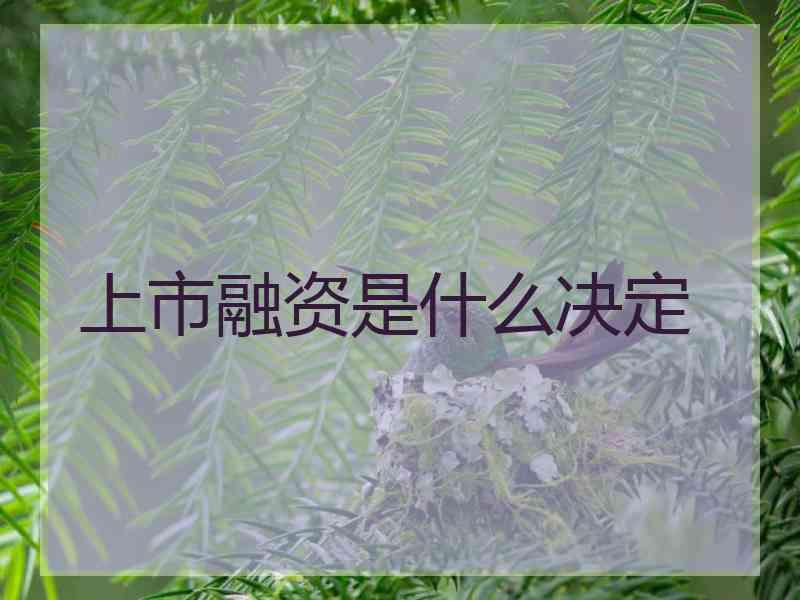 上市融资是什么决定