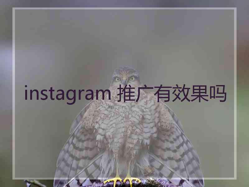 instagram 推广有效果吗