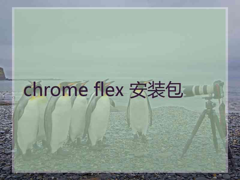 chrome flex 安装包