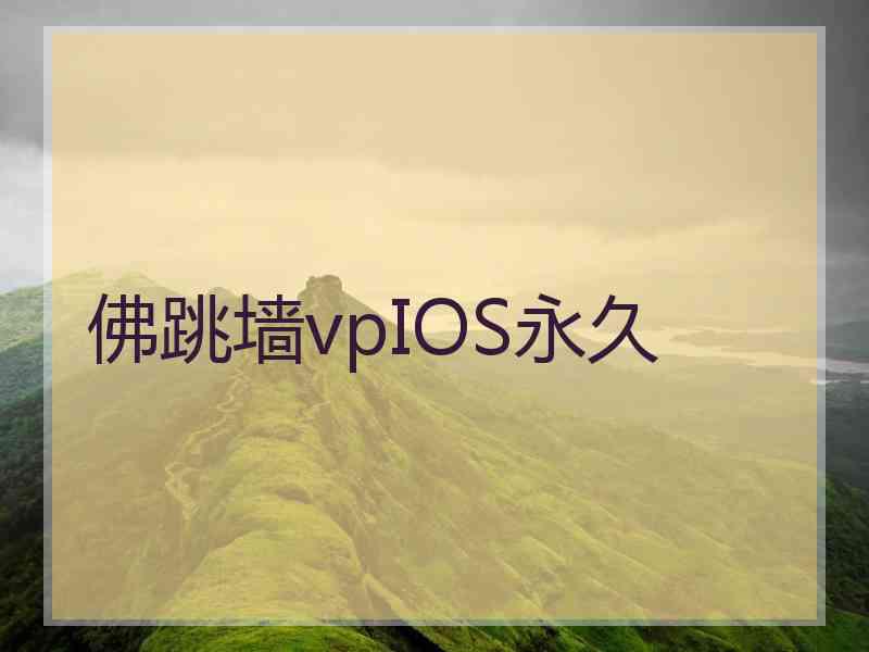 佛跳墙vpIOS永久