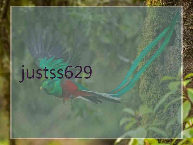 justss629