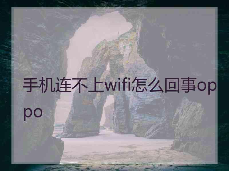 手机连不上wifi怎么回事oppo