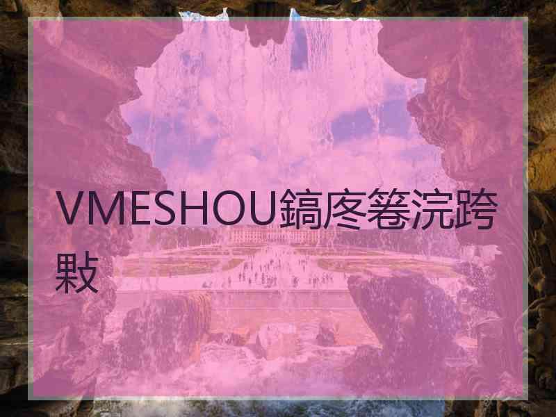 VMESHOU鎬庝箞浣跨敤