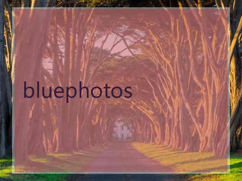 bluephotos