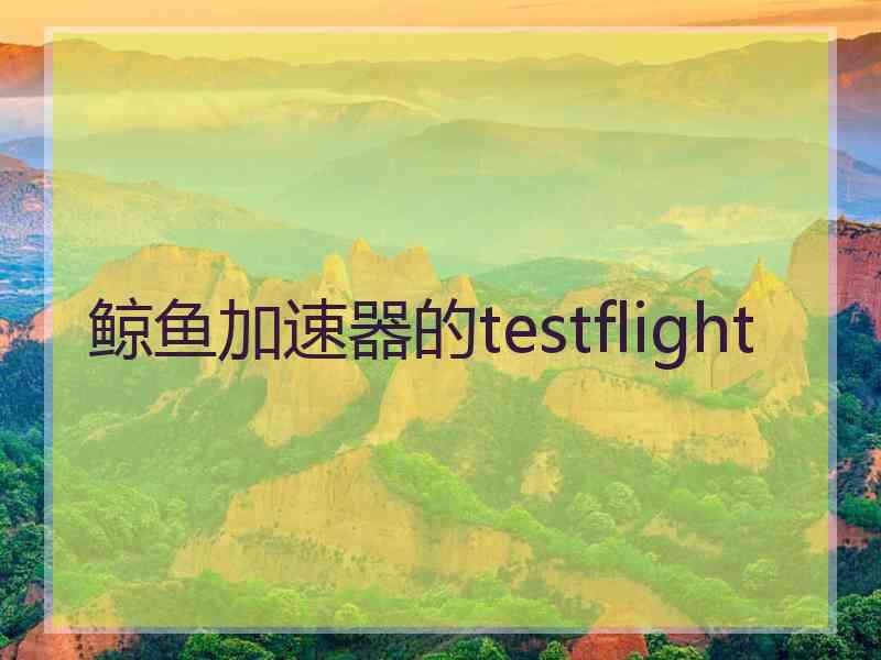 鲸鱼加速器的testflight