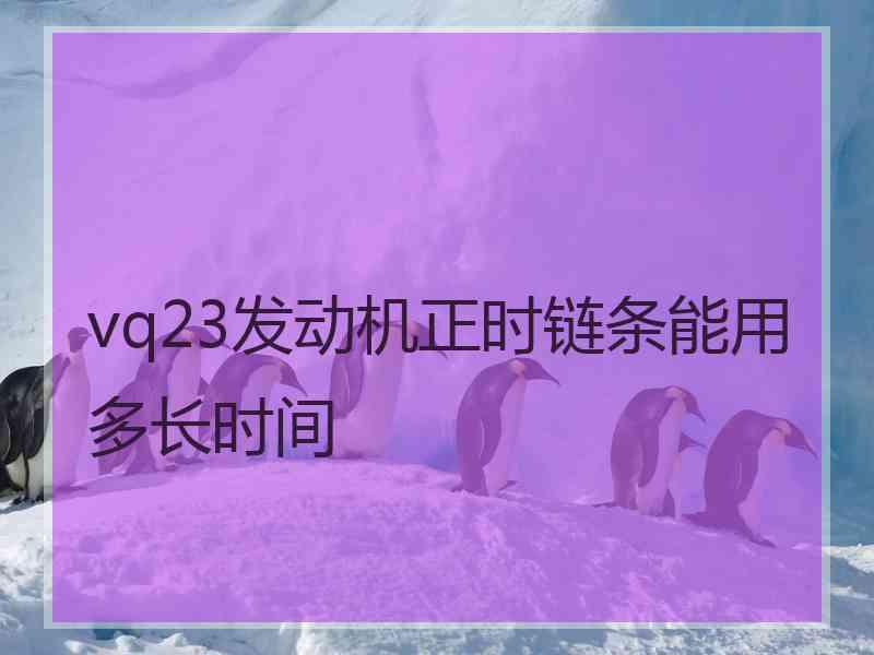 vq23发动机正时链条能用多长时间