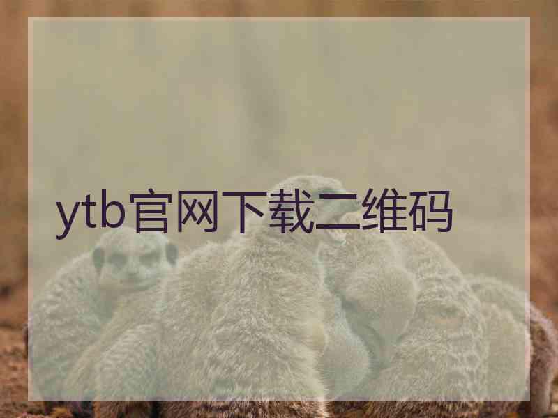 ytb官网下载二维码