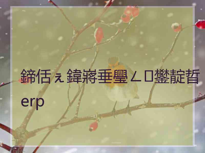 鍗佸ぇ鍏嶈垂璺ㄥ鐢靛晢erp