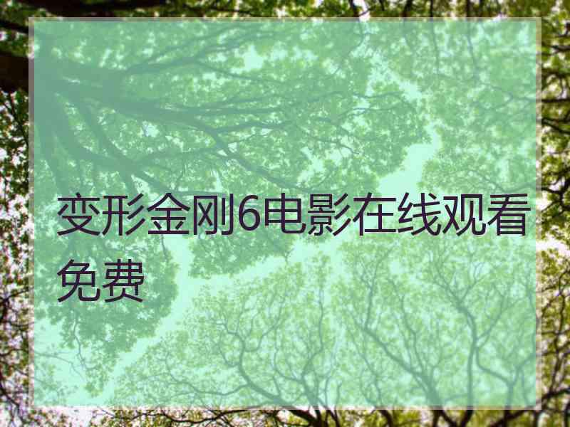 变形金刚6电影在线观看免费