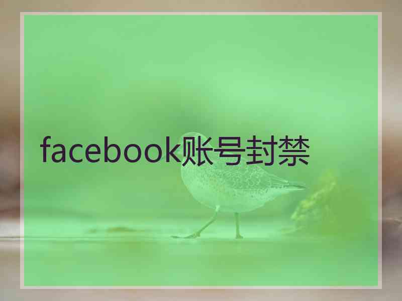 facebook账号封禁