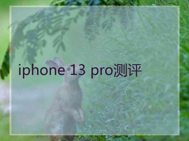 iphone 13 pro测评