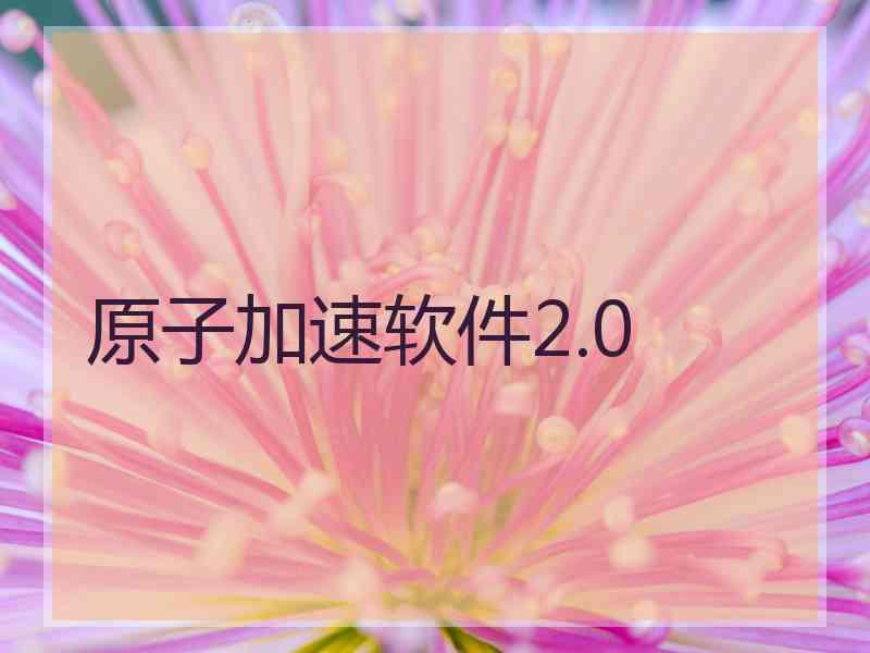 原子加速软件2.0