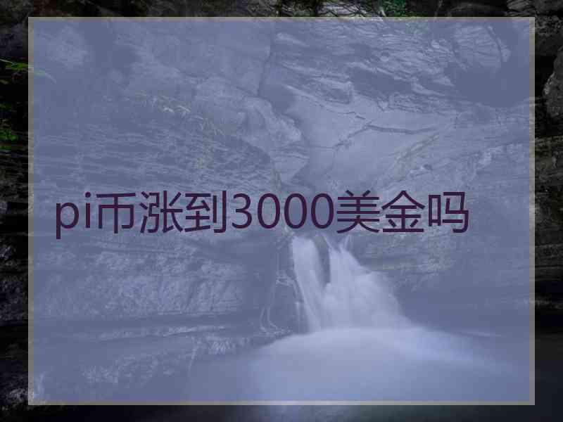 pi币涨到3000美金吗