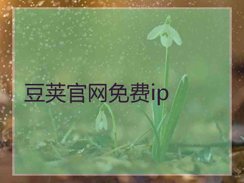 豆荚官网免费ip