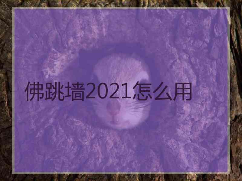 佛跳墙2021怎么用