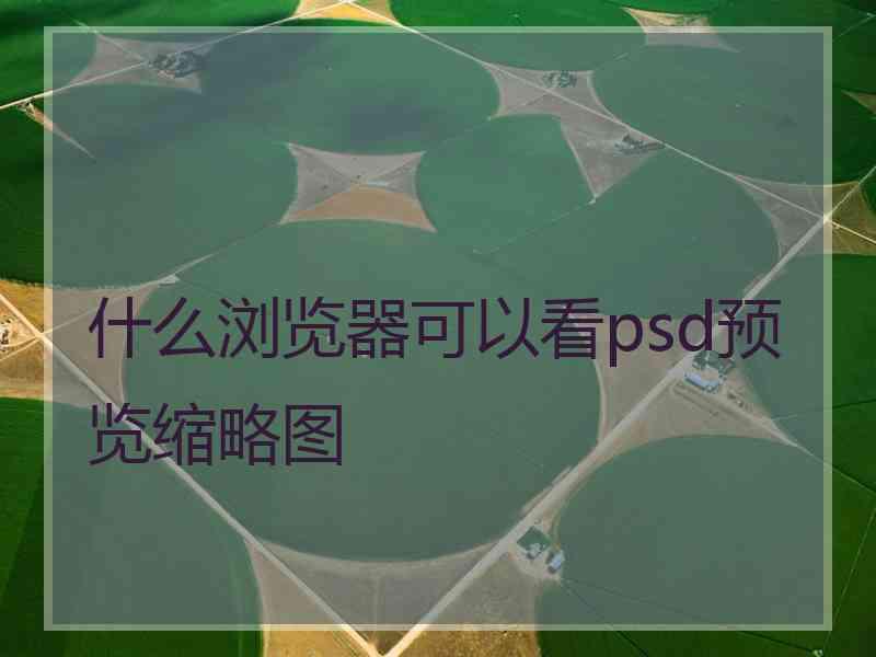 什么浏览器可以看psd预览缩略图