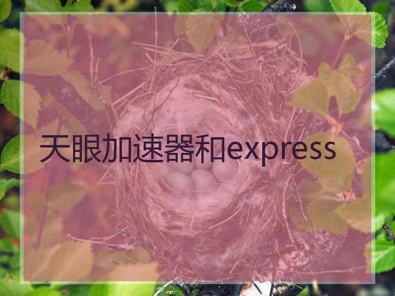 天眼加速器和express