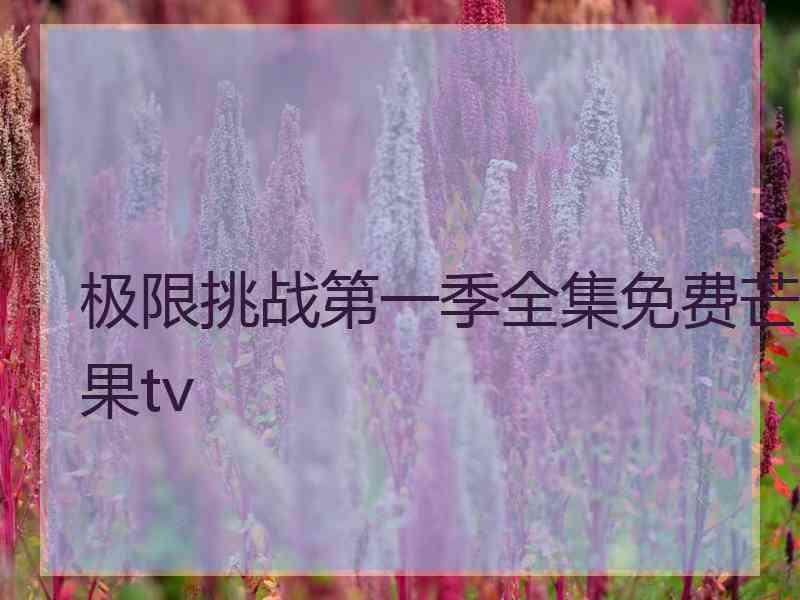 极限挑战第一季全集免费芒果tv