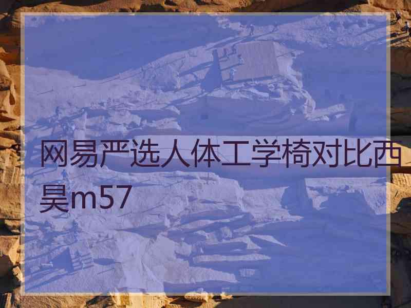 网易严选人体工学椅对比西昊m57