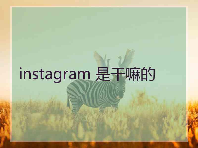 instagram 是干嘛的