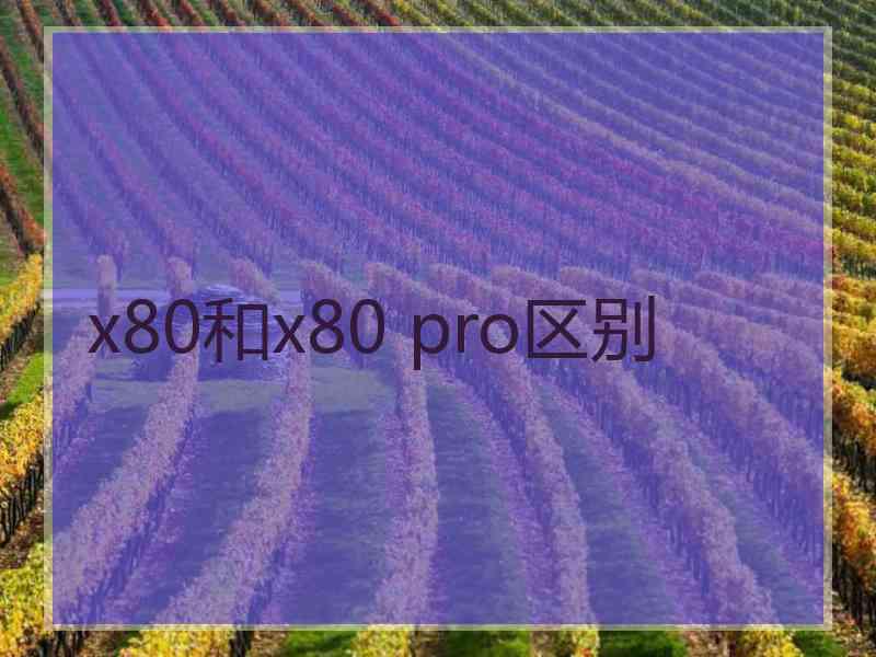 x80和x80 pro区别