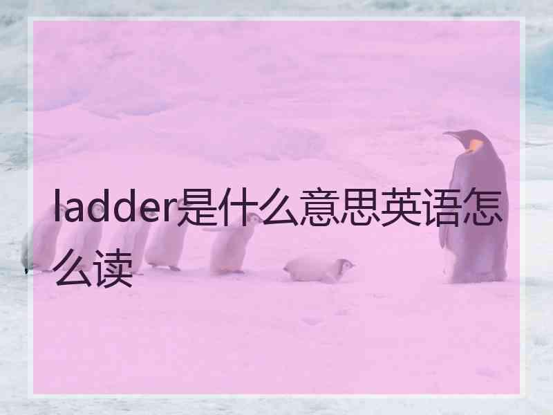 ladder是什么意思英语怎么读