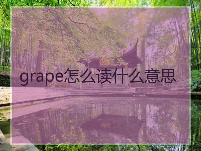 grape怎么读什么意思