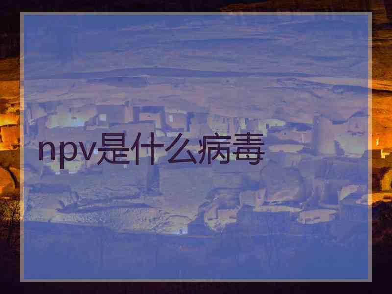 npv是什么病毒