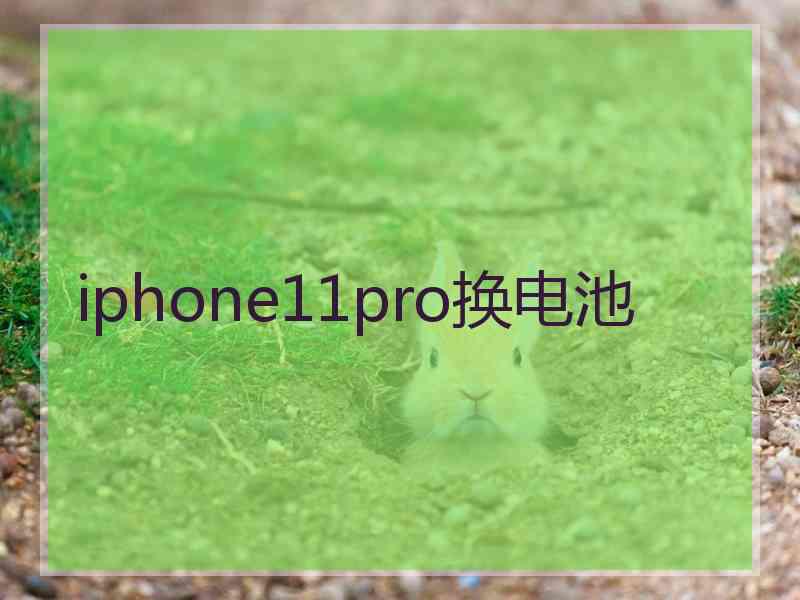 iphone11pro换电池