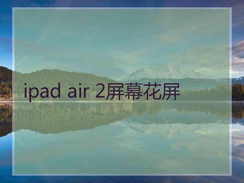 ipad air 2屏幕花屏