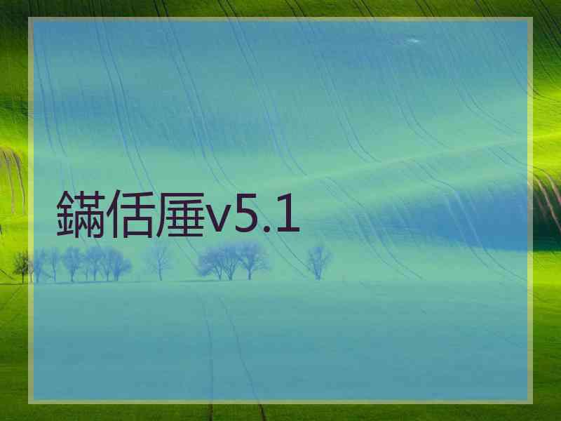 鏋佸厜v5.1