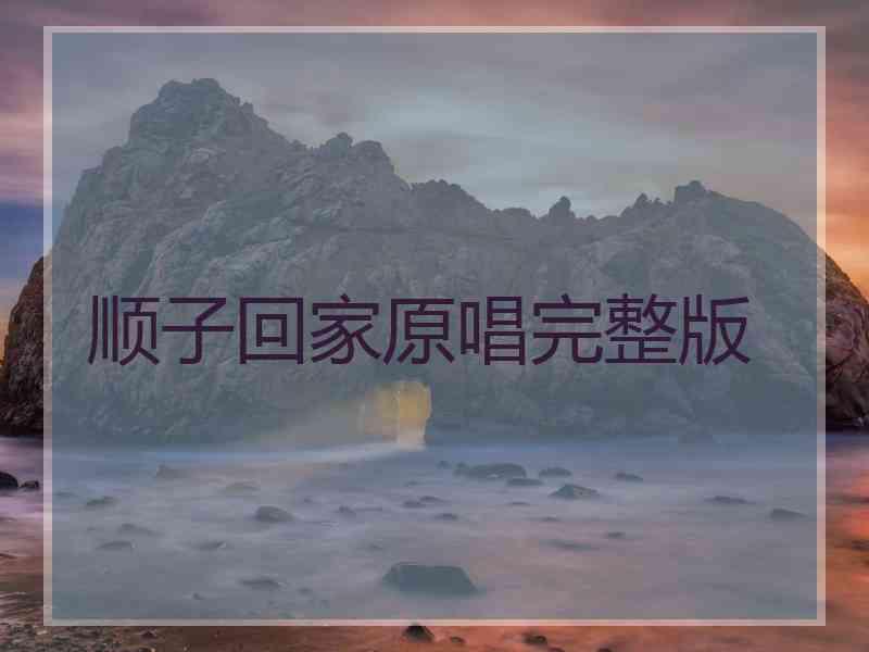 顺子回家原唱完整版